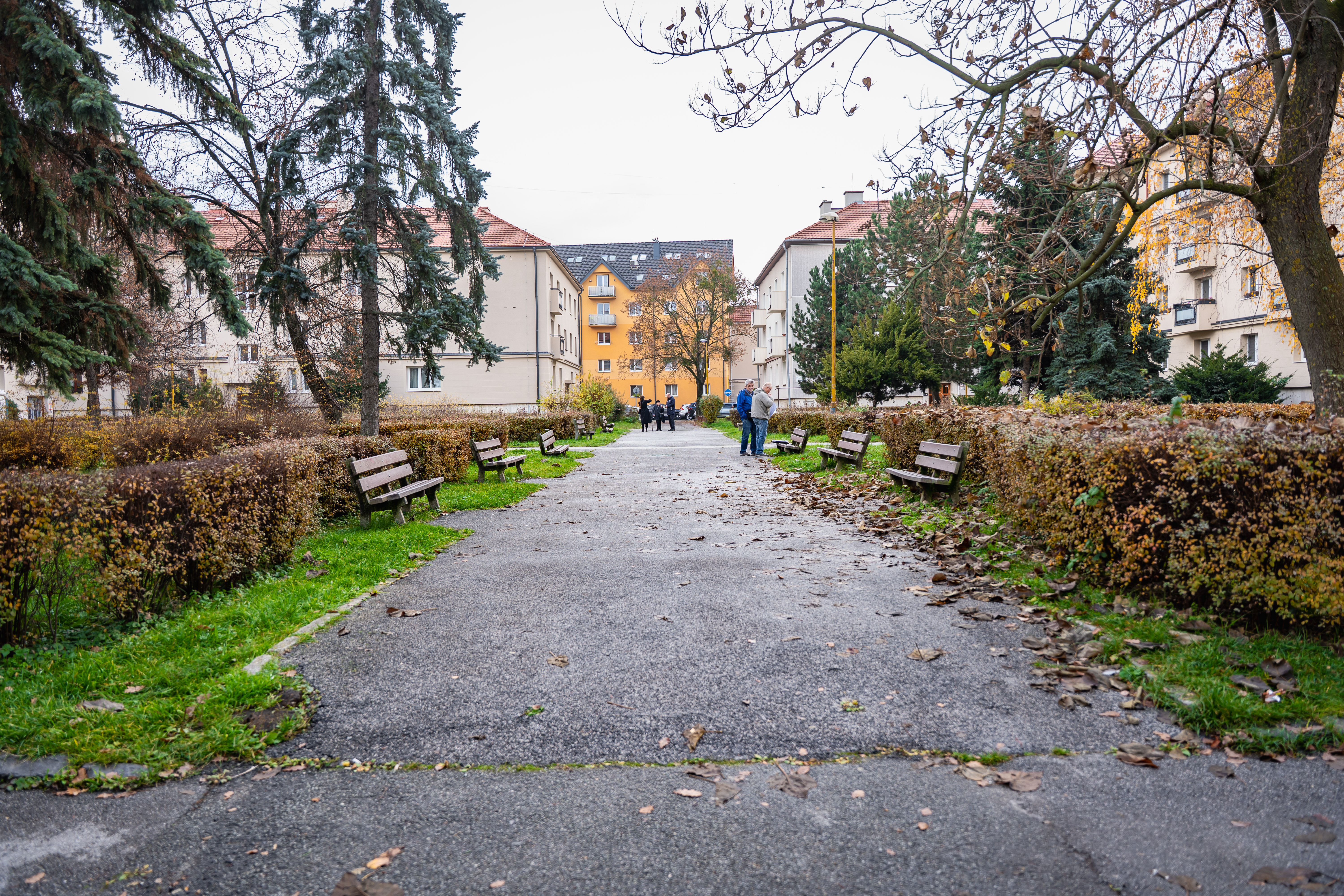 Odovzdanie staveniska - Pasteurovo nam.-26